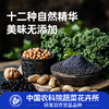 「下单赠羽衣甘蓝十黑粉7条*2袋」农科院研发品种 徐姬羽衣甘蓝粉 高膳食纤维/花青素 （绿色10条*2盒+紫色10条*2盒） 商品缩略图5