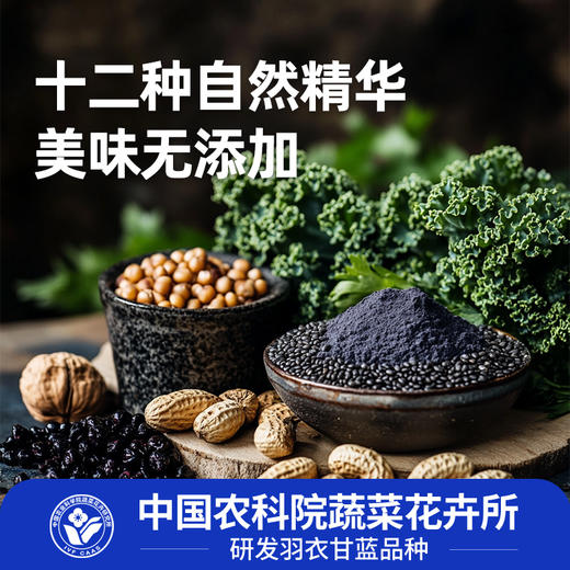 「下单赠羽衣甘蓝十黑粉7条*2袋」农科院研发品种 徐姬羽衣甘蓝粉 高膳食纤维/花青素 （绿色10条*2盒+紫色10条*2盒） 商品图5