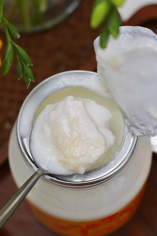 🆕新品首发｜马三三奶皮子酸奶🥛 商品图1