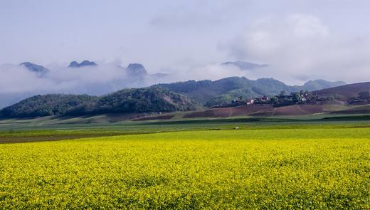 东北鸭绿江畔•中朝边境：丹东绿江村、鸭绿江断桥、乾坤大湾、大连海滨风光6日深度摄影团 商品图12