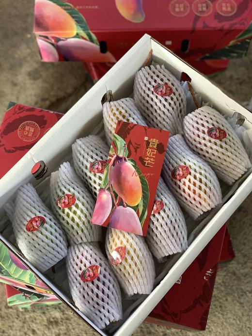 海南三亚 树上熟贵妃芒 商品图10