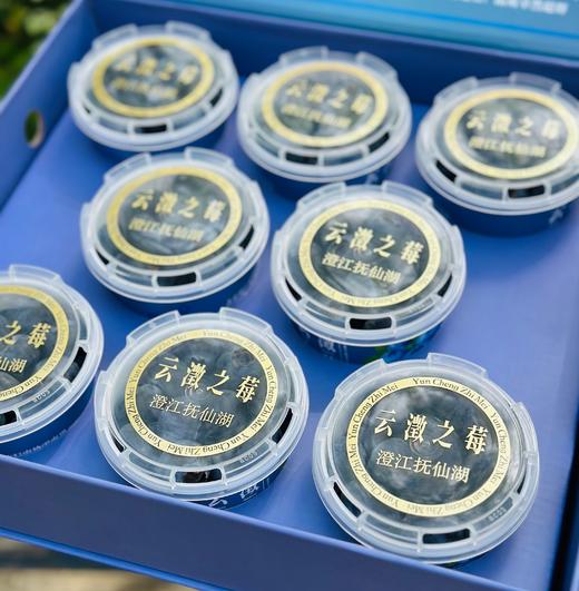 云澂之莓杯蓝莓|大颗粒，吃起来超级过瘾，粒粒脆甜，花香味儿浓郁，唇齿留香，闭眼入~ 商品图6