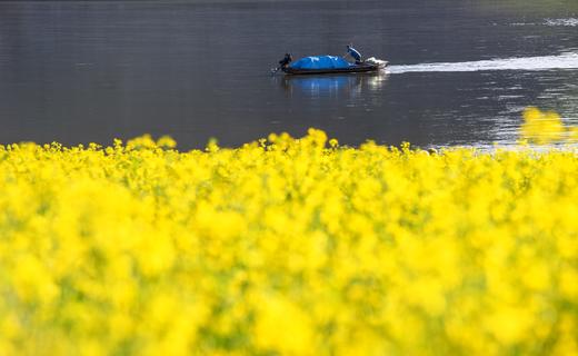 东北鸭绿江畔•中朝边境：丹东绿江村、鸭绿江断桥、乾坤大湾、大连海滨风光6日深度摄影团 商品图10