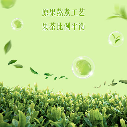 金汇源泉龙井气泡茶280ml*6瓶 商品图3