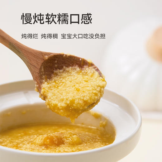 【小家电】浦利顿电炖锅婴儿辅食锅电炖盅宝宝bb煲煮粥全自动家用陶瓷煲汤锅 0.5L 南瓜煲PLD-DG10A HF 商品图4