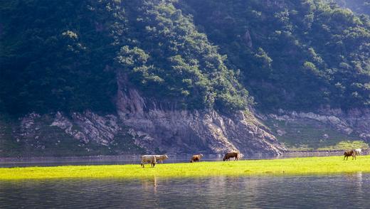 东北鸭绿江畔•中朝边境：丹东绿江村、鸭绿江断桥、乾坤大湾、大连海滨风光6日深度摄影团 商品图9