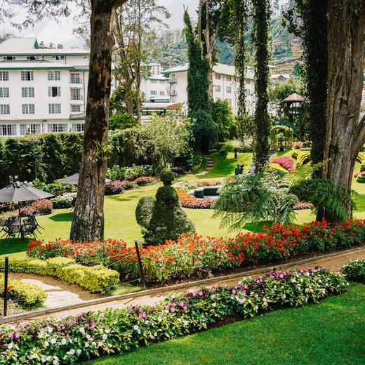 斯里兰卡，人文锡兰，隐匿于自然，循迹巴瓦 8天7晚 商品图10