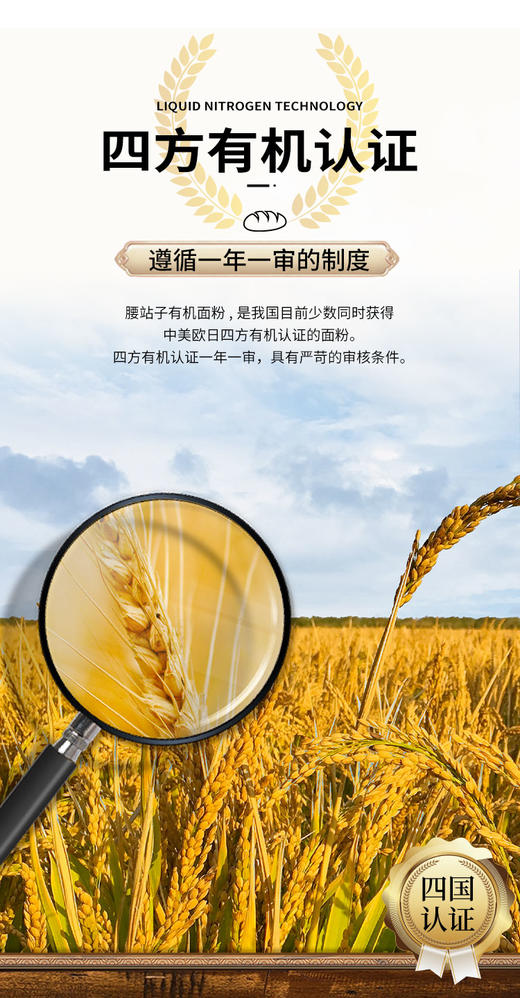 YXG新疆有机面粉 商品图1