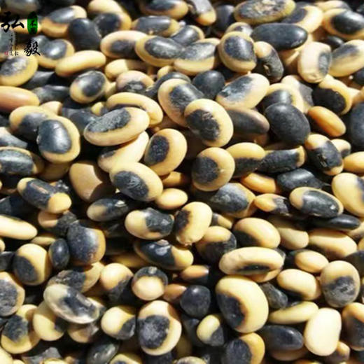 【弘毅六不用生态农场】六不用 羊眼豆 商品图3