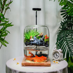 悬浮景观生态瓶，免打理易养活，植物小白也能轻松上手，纯手工造景，赋予极致的高级感，悬浮景观生态瓶