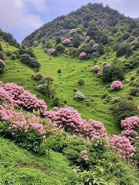 【课堂】倒春寒【春季徒步】的棉质内衣=慢性自杀？