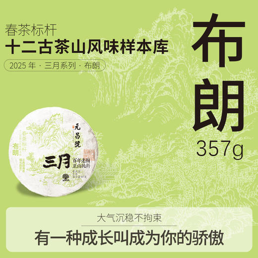 【三月系列】元昌号2025年布朗357克生饼 商品图0