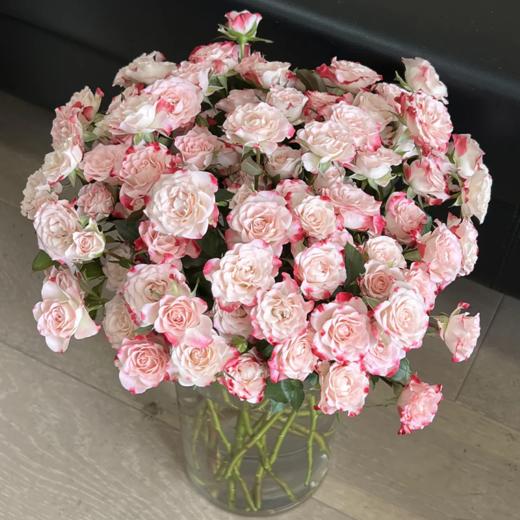 新鲜鲜花 多头折射泡泡玫瑰鲜切花 18-20枝左右 (十堰主城... 商品图0