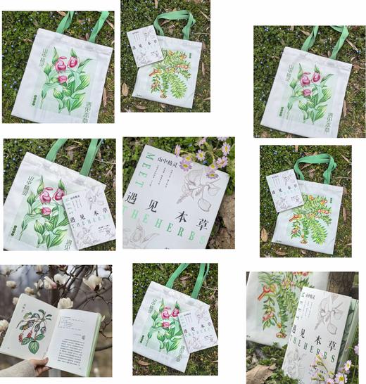 遇见本草 商品图0