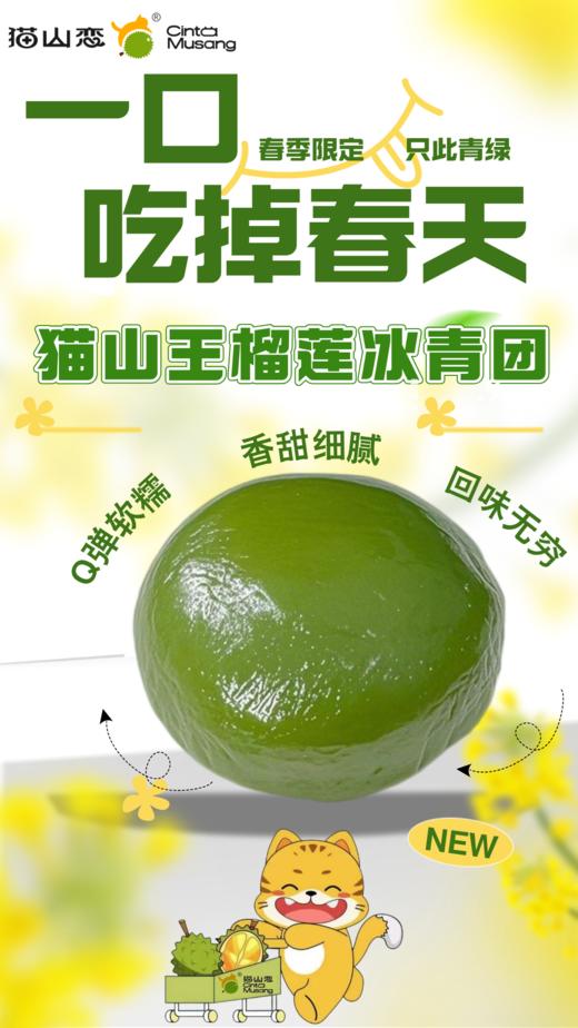 【猫山恋】榴莲青团 3枚/盒*5盒 商品图1