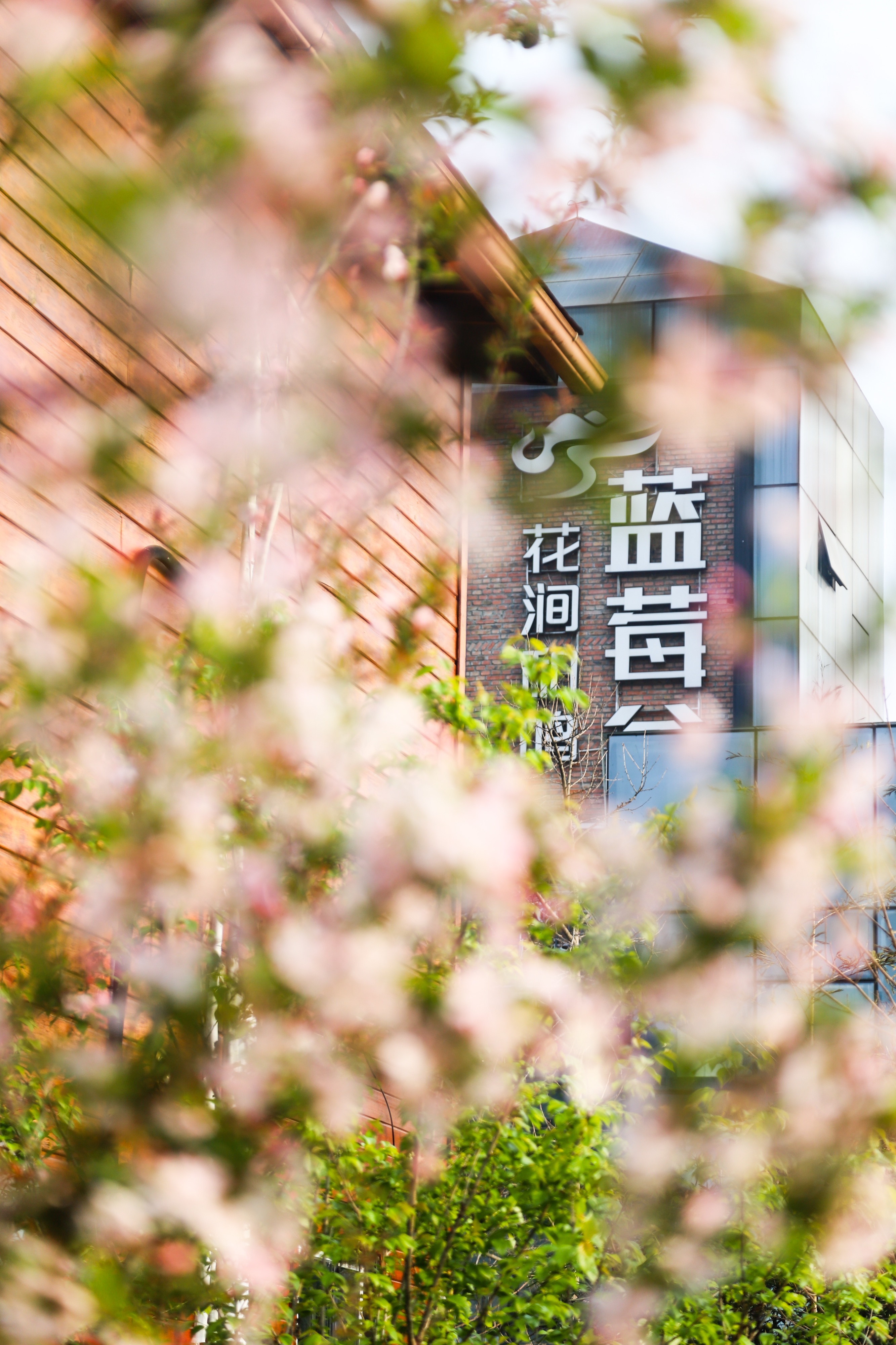 春假露营去~2天1夜亲子露营【蒲江地球村·蓝莓谷】2大主题焕新任选：乐野探秘计划+丛林冒险家