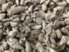 （特价处理）未去皮干净 筠姜粗颗粒【个别少量有虫眼 介意慎拍】   2公斤/份 商品缩略图2