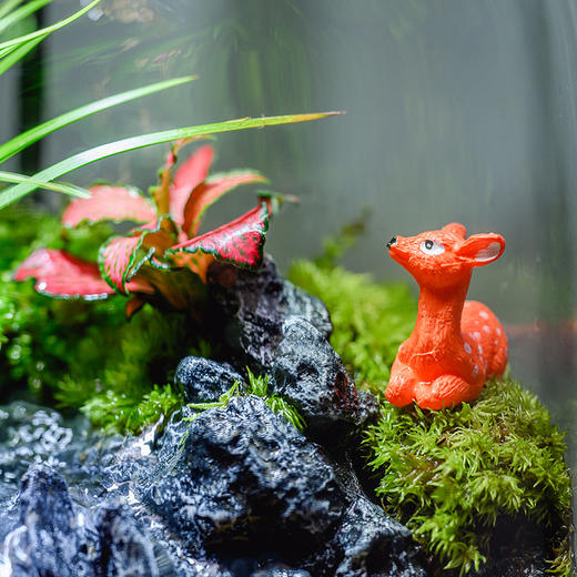 悬浮景观生态瓶，免打理易养活，植物小白也能轻松上手，纯手工造景，赋予极致的高级感，悬浮景观生态瓶 商品图4