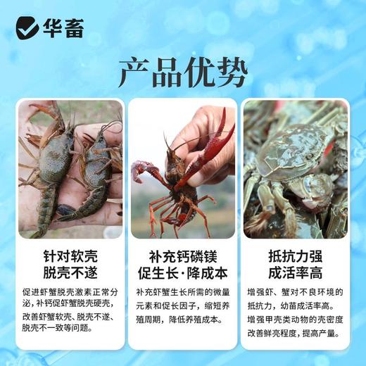 华畜聚能离子钙虾蟹补钙宝脱壳素软壳促长虾蟹硬壳宝干撒水产养殖 商品图2