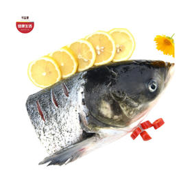 优选|密云水库胖头鱼头 水质清澈 鱼肉细嫩 肉厚鲜美  当天现杀现发  3斤/个