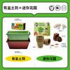 📣科答鸭种植观察作业必备❗种植福利团🏆😘超好养活的【小盆栽＋配大花盆🌱】从小种到大 💰43元起就能得到的快乐🎉有种子有土有盆🌟带孩子开启植物自然课💨在家就能感受生命教育🥇 商品缩略图3