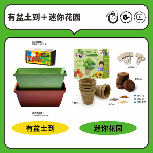 📣科答鸭种植观察作业必备❗种植福利团🏆😘超好养活的【小盆栽＋配大花盆🌱】从小种到大 💰43元起就能得到的快乐🎉有种子有土有盆🌟带孩子开启植物自然课💨在家就能感受生命教育🥇 商品图3