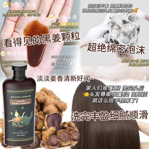 ⁵泰国溯源89.9元3瓶【黑姜洗发水】8种草本 泰国黑姜根粉  何首乌 薄荷等400ml/瓶YY05-QTT-SFL 商品图3