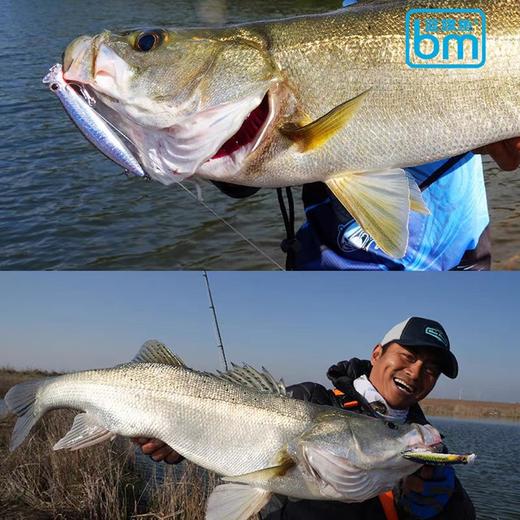 蓝旗鱼上翘沉水米诺超远投路亚饵 商品图3