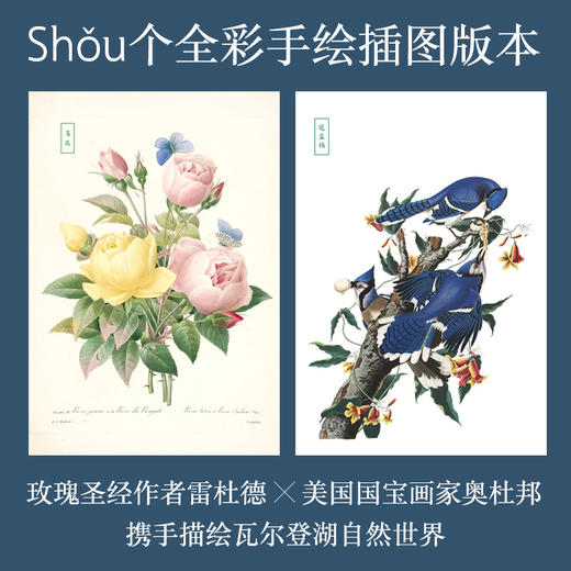 灵魂两部曲：《瓦尔登湖》刷边珍藏版+《允许一切发生》丨人生智慧灯塔，必读书目 商品图2