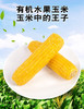 YXG有机水果玉米200克/支*6 商品缩略图1