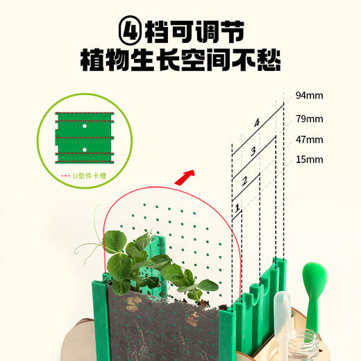 📣科答鸭种植观察作业必备❗种植福利团🏆😘超好养活的【小盆栽＋配大花盆🌱】从小种到大 💰43元起就能得到的快乐🎉有种子有土有盆🌟带孩子开启植物自然课💨在家就能感受生命教育🥇 商品图8
