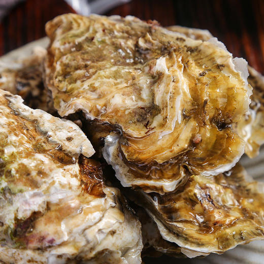 优选|鲜活乳山生蚝 鲜活到家  饱满可口 个大肉肥  5斤装 （带开蚝工具） 商品图7