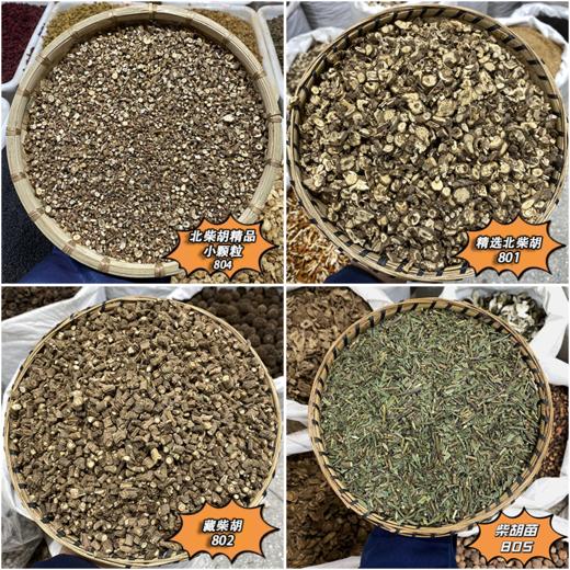 柴胡  北柴胡 藏柴胡 柴胡苗  各种规格 颗粒 均匀 商品图0