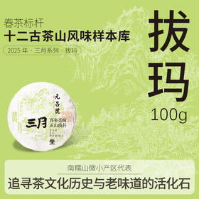 【三月系列】元昌号2025年拔玛100克生饼