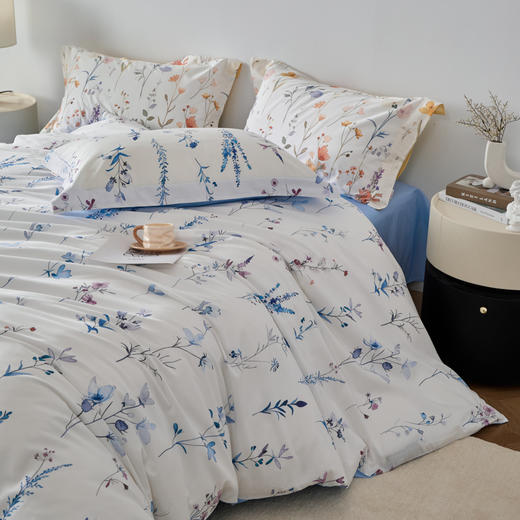 风吟漫漫DZ 商品图5