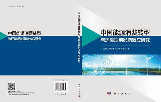 中国能源消费转型与环境规制影响效应研究 商品图3