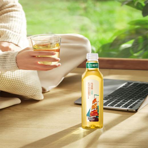 农夫山泉东方树叶乌龙茶原味茶饮料 900ml 商品图1
