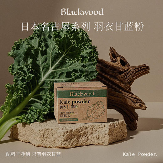 【Blackwood羽衣甘蓝粉】满满膳食纤维 ！无负担  1000目超细腻粉质 入口无渣 更好吸收 日本名古屋品种羽衣甘蓝 商品图0