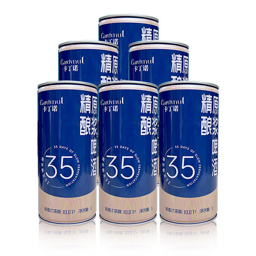 卡丁诺 精酿原浆啤酒 10度 整箱1L*6瓶 商品图11