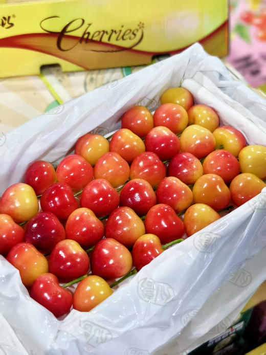 时鲜！美国红黄樱桃，脆甜爆汁儿，鲜味十足！ 商品图0