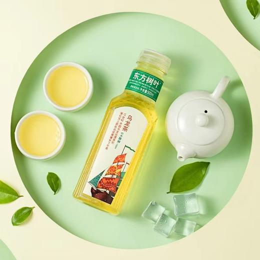 农夫山泉东方树叶乌龙茶饮料 500ml/瓶 商品图2