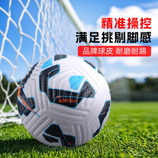 小李子正品NIKE耐克足球5号球热粘合比赛训练专用球FZ2966-105 商品图1