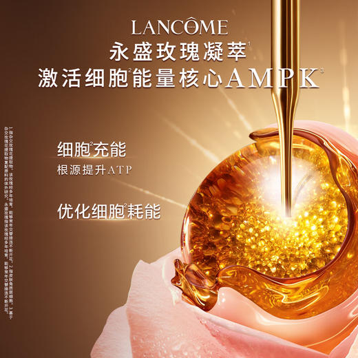 【双12嗨购节】【全球购】「买一送一·特价」LANCÔME兰蔻菁纯面霜60ml*2瓶清爽/滋润·现货速达 商品图12