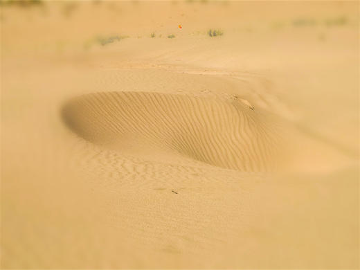 五一4日【徒个•沙漠火山】｜徒步四大地质奇观の涝利海-库布齐沙漠-杨家川峡谷-火山草原 商品图5