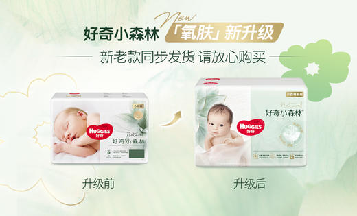 【新老包装随机发货】好奇心钻小森林纸尿裤/拉拉裤 商品图1
