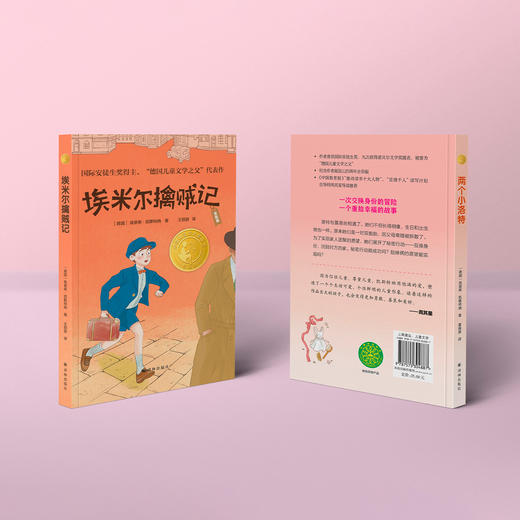 《埃米尔擒贼记》《两个小洛特》 商品图14