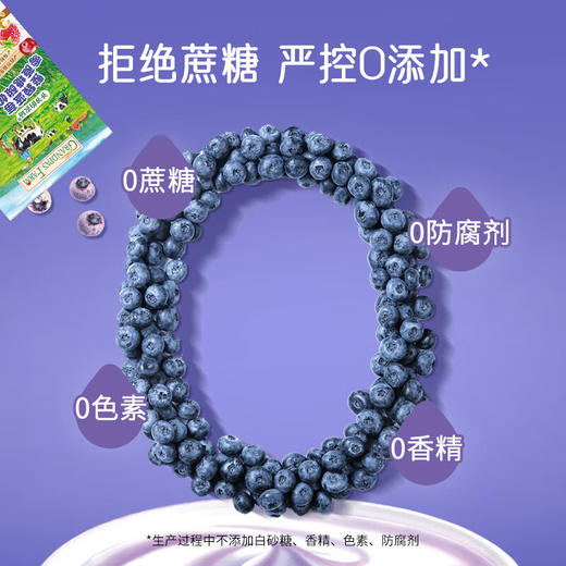 爷爷的农场整颗蓝莓零蔗糖酸奶脆25g 商品图4
