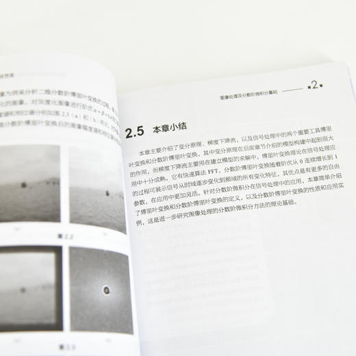 图像处理的分数阶微积分方法 图像处理计算机视觉微积分工程数学计算机理论书籍 商品图2