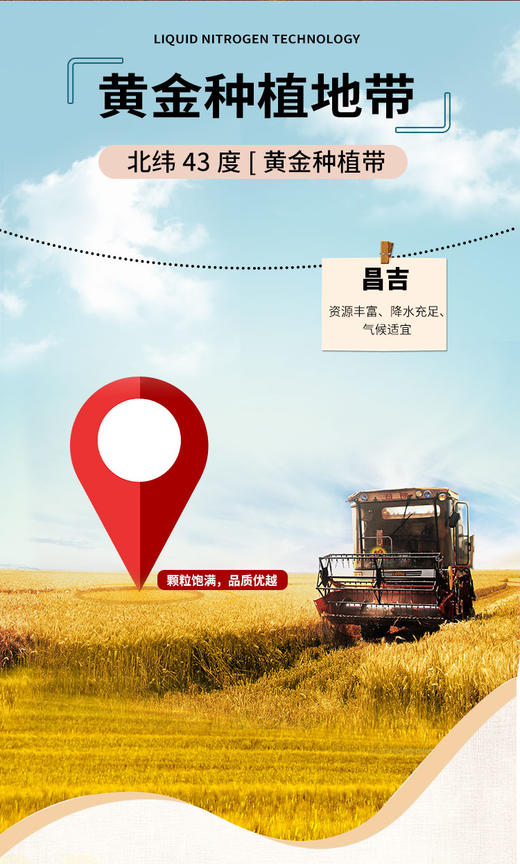 YXG新疆有机面粉 商品图2