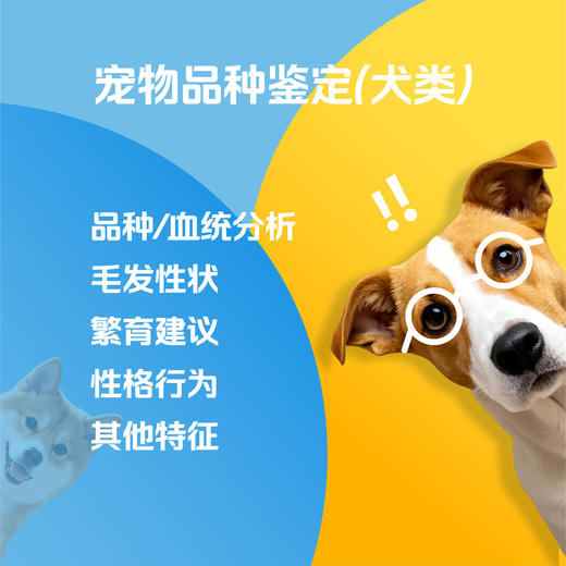 【解觅-华大宠物基因检测】猫犬品种鉴定血型遗传疾病性格饮食分析 商品图7